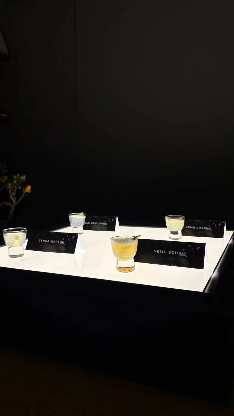 Four backlit cocktails staged as chapters of the rain's journey